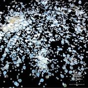 Biodegradable Eco Glitter 3pcs PURE OPAL