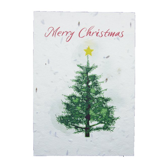 Plantable Christmas Cards