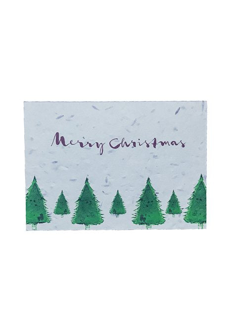 Plantable Christmas Cards