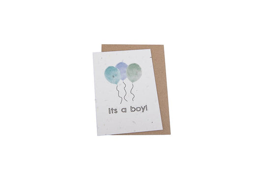 Plantable newborn card: It's a Boy